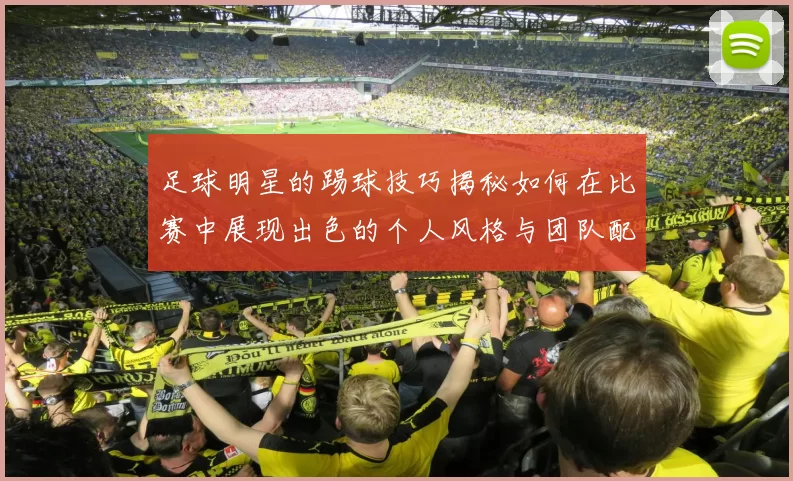 足球明星的踢球技巧揭秘如何在比赛中展现出色的个人风格与团队配合