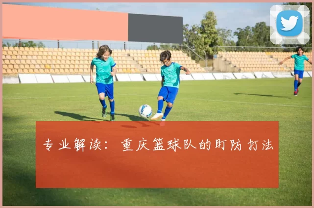 专业解读：重庆篮球队的盯防打法