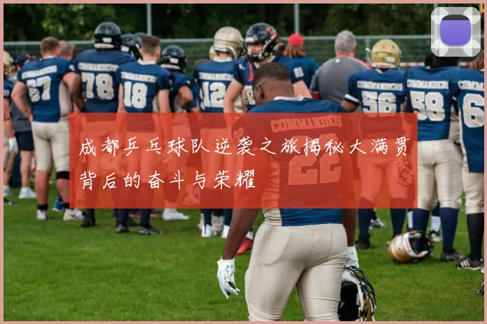 成都乒乓球队逆袭之旅揭秘大满贯背后的奋斗与荣耀