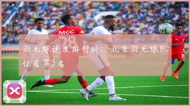 羽毛球速度排行榜：北京羽毛球队位居第5名