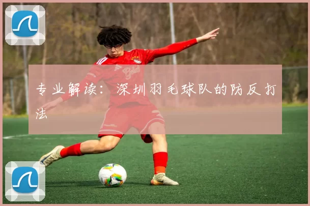 专业解读：深圳羽毛球队的防反打法