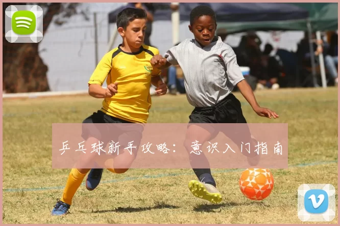 乒乓球新手攻略：意识入门指南