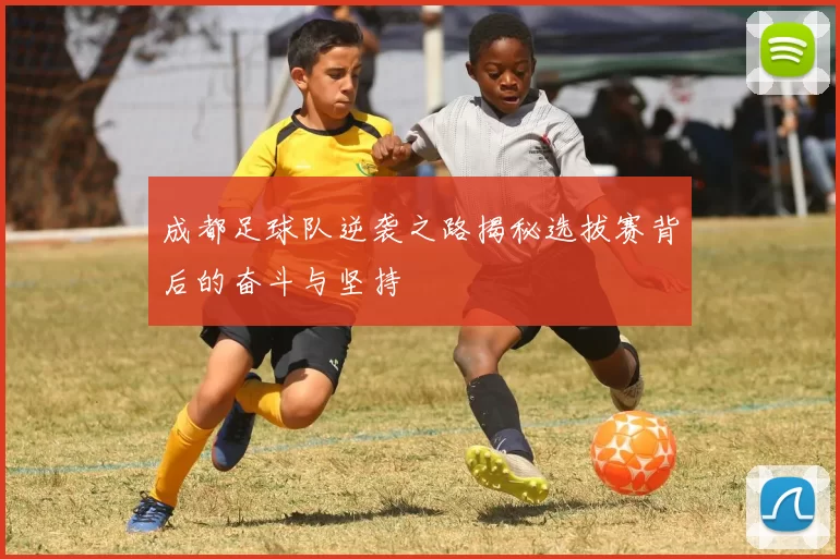 成都足球队逆袭之路揭秘选拔赛背后的奋斗与坚持