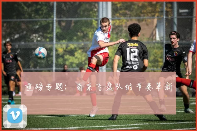 重磅专题：南京飞盘队的节奏革新