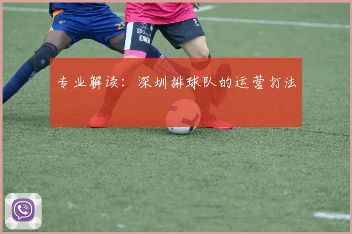 专业解读：深圳排球队的运营打法