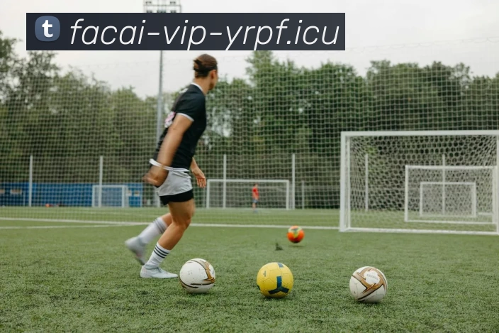 华体会体育平台生态图