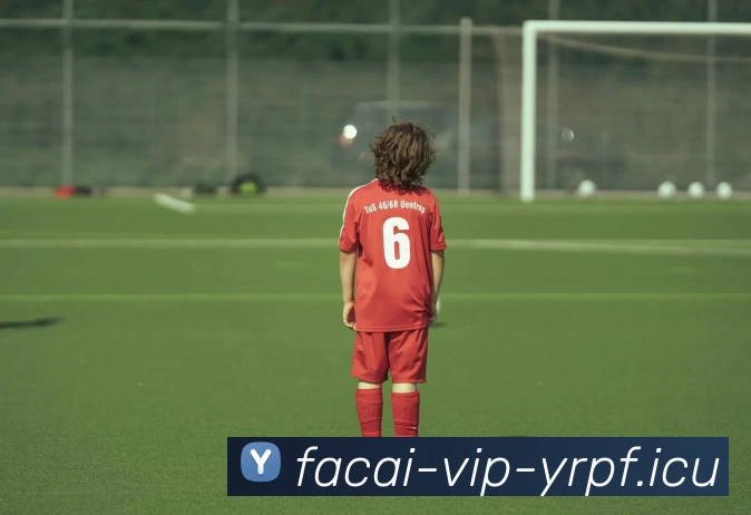 华体会体育APP 封面图